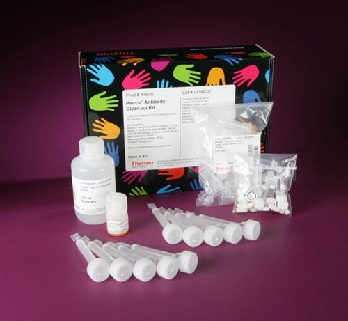 PI44600 | Thermo Scientific Pierce Antibody Clean up Kit For