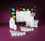 PI44600 | Thermo Scientific Pierce Antibody Clean up Kit For