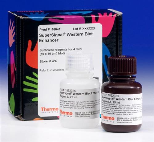 PI46641 | Thermo Scientific SuperSignal Western Blot Enhance