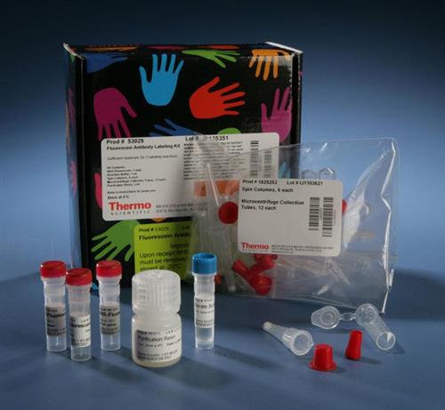 PI53029 | Thermo Scientific Pierce NHS Fluorescein Antibody