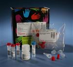 PI53029 | Thermo Scientific Pierce NHS Fluorescein Antibody