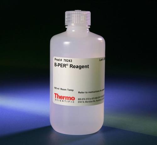PI78243 | Thermo Scientific B PER Bacterial Protein Extracti