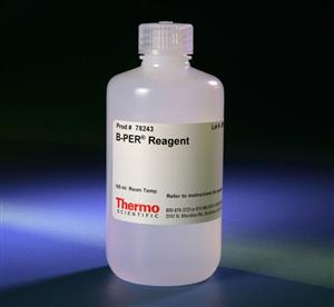 PI78243 | B per Reagent 165ml