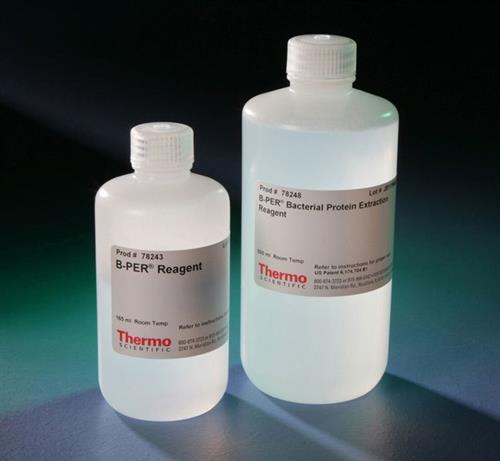 PI78248 | Thermo Scientific B PER Bacterial Protein Extracti