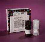 PI78438 | Thermo Scientific Halt Protease Inhibitor Cocktail