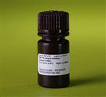 PI78439 | Thermo Scientific Halt Protease Inhibitor Cocktail