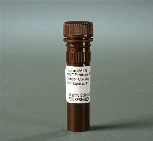 PI78441 | Thermo Scientific Halt Protease and Phosphatase In