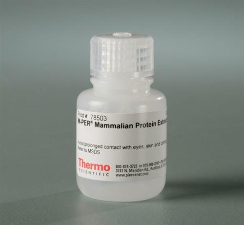 PI78503 | Thermo Scientific M PER Mammalian Protein Extracti