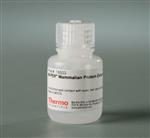 PI78503 | Thermo Scientific M PER Mammalian Protein Extracti