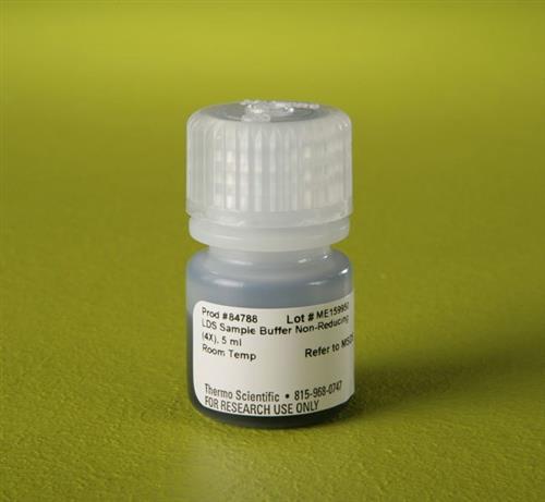 PI84788 | Thermo Scientific Pierce LDS Sample Buffer Non Red