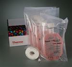PI87761 | Thermo Scientific Slide A Lyzer Dialysis Flasks 3.