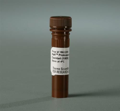 PI87785 | Thermo Scientific Halt Protease Inhibitor Cocktail