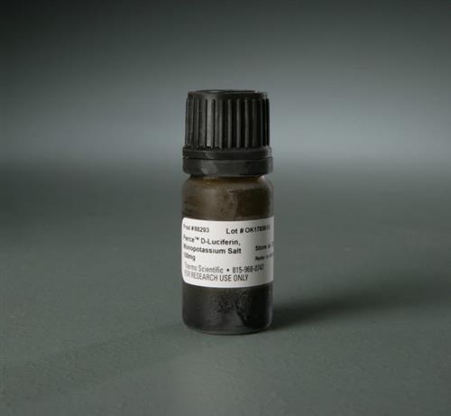 PI88293 | D luciferin Monopotassium Sal