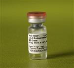 PI90051 | Thermo Scientific Pierce Lys C Protease MS Grade D