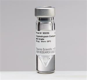 PI90056 | Thermo Scientific Pierce Chymotrypsin Protease TLC