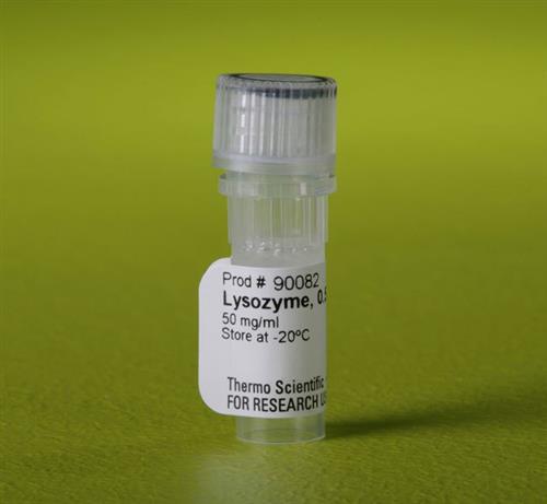 PI90082 | Thermo Scientific Lysozyme Solution 50 mg mL Conte