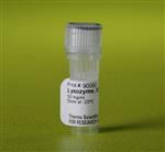 PI90082 | Thermo Scientific Lysozyme Solution 50 mg mL Conte