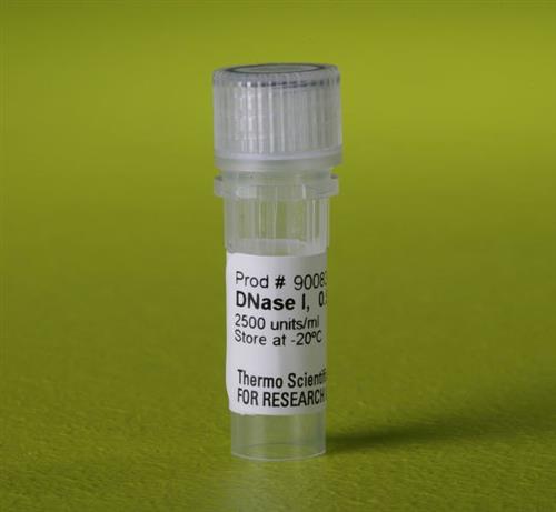 PI90083 | Thermo Scientific DNase I Solution 2500 U mL Quant