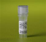 PI90083 | Thermo Scientific DNase I Solution 2500 U mL Quant