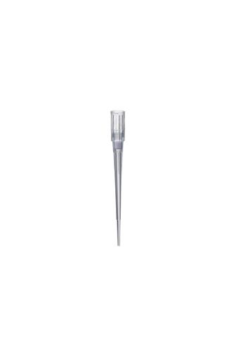 14488006 | Clip Tip Rld Ster 960pk