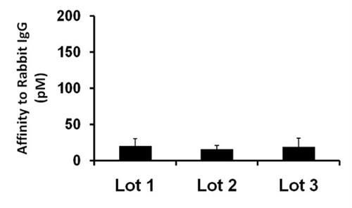 PIA27033 | Invitrogen Antigen Rabbit IgG Heavy chain Host Spe