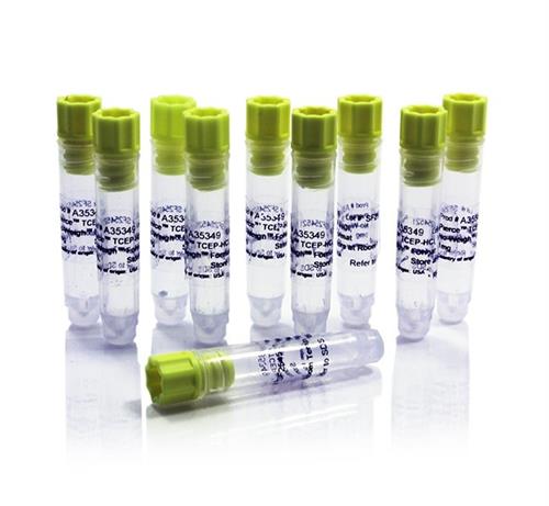 PIA35349 | Thermo Scientific Pierce Pierce TCEP HCl No Weigh