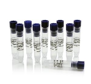 PIA35358 | Thermo Scientific EZ Link Sulfo NHS LC LC Biotin N