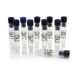 PIA35358 | Thermo Scientific EZ Link Sulfo NHS LC LC Biotin N