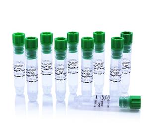 PIA35391 | Thermo Scientific Pierce EDC No Weigh Format Quant