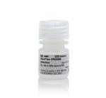 PIA36801 | Thermo Scientific Pierce Anti DYKDDDDK Affinity Re