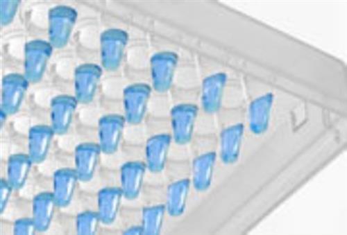 AB4323A | Absolblue Qpcr Sybrgr Lowroxmx