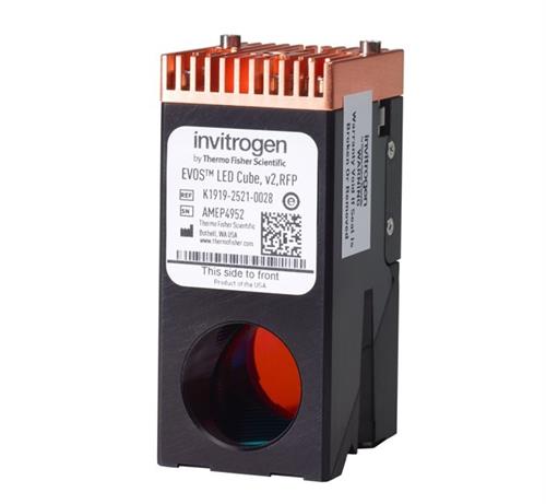 AMEP4952 | Invitrogen EVOS Light Cube RFP 2.0 For Use With Co