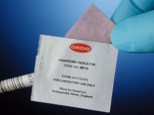 R65055 | Oxoid Anaerobic Indicator100pk
