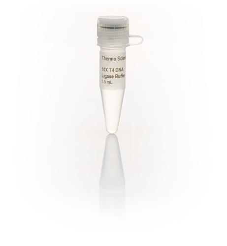 FERB69 | Thermo Scientific T4 DNA Ligase Buffer 10X Quantit