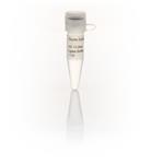 FERB69 | Thermo Scientific T4 DNA Ligase Buffer 10X Quantit
