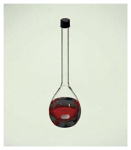 10207B | Flask Volumetric 50ml 6/pk