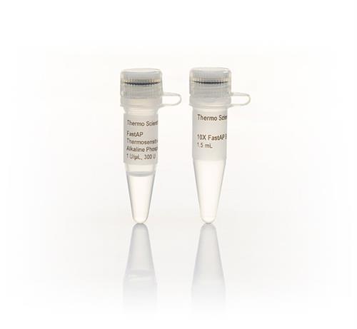 FEREF0651 | Thermo Scientific FastAP Thermosensitive Alkaline
