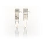 FEREF0651 | Thermo Scientific FastAP Thermosensitive Alkaline