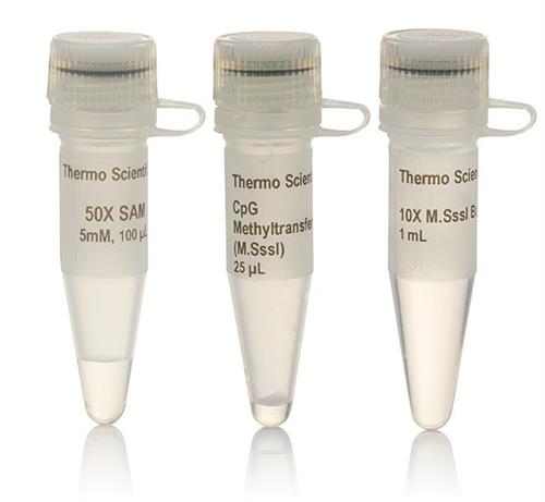 FEREM0821 | Thermo Scientific CpG Methyltransferase M.SssI Qua