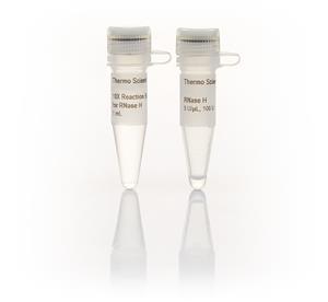 FEREN0201 | Thermo Scientific RNase H 5 U uL 100 units Quantit