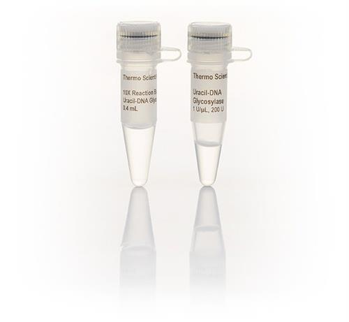 FEREN0362 | Thermo Scientific Uracil DNA Glycosylase 1 U uL 5