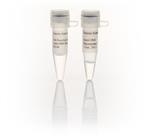 FEREN0362 | Thermo Scientific Uracil DNA Glycosylase 1 U uL 5