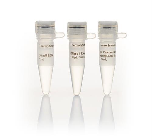 FEREN0521 | Thermo Scientific DNase I RNase free 1 U uL Quanti