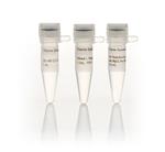 FEREN0521 | Thermo Scientific DNase I RNase free 1 U uL Quanti