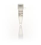 FEREO0382 | Thermo Scientific RiboLock RNase Inhibitor 40 U uL