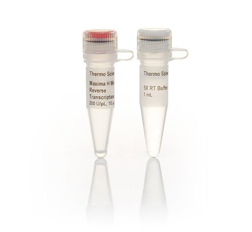 FEREP0751 | Thermo Scientific Maxima H Minus Reverse Transcrip