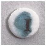 R21087 | Thermo Scientific Remel Indoxyl Acetate Disc Quant