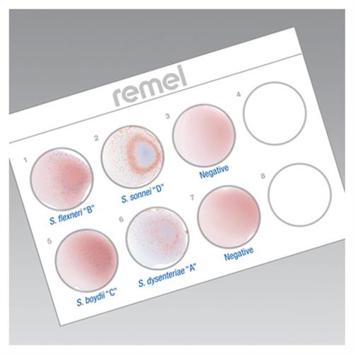 R30858401 | Wellcolex Color Shigella Kit Detectable Analytes S