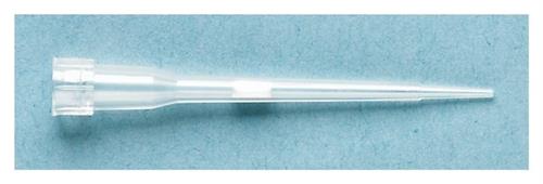 21402482 | Art 10re Lr Adv St Clr 960/pk