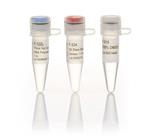 F122L | Phire Hot Start Ii Pol 1000rxn